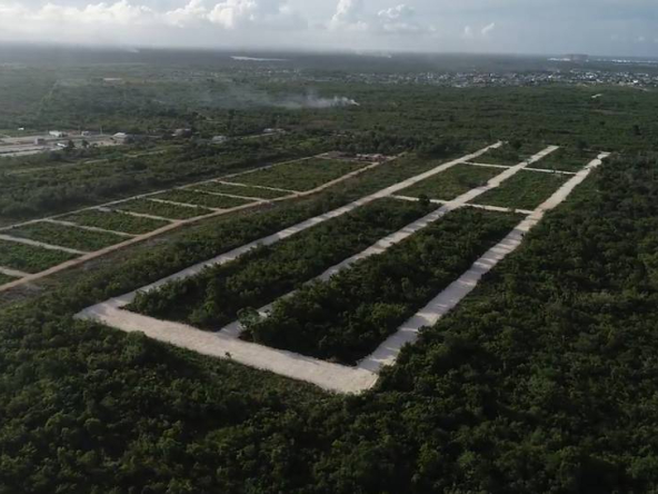 Proyecto de lotes ubicados en Bávaro, Punta Cana