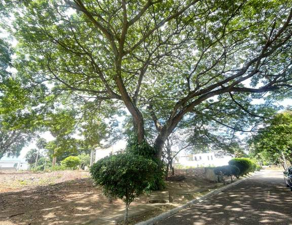 Terreno en Estancia Elianne, Gurabo al medio, Santiago